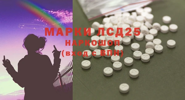 гидра Вязники
