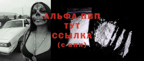 гидра Вязники