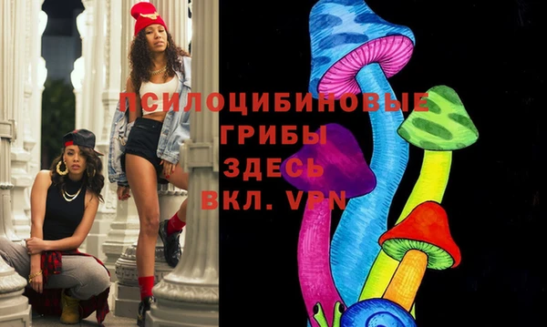 гидра Вязники