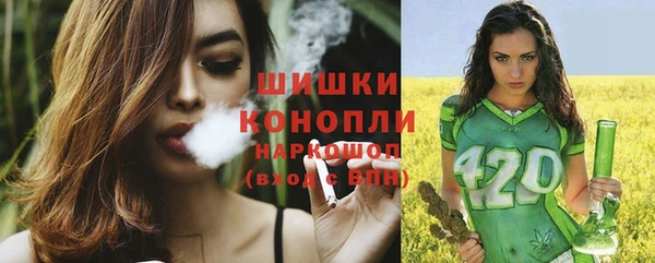 гидра Вязники