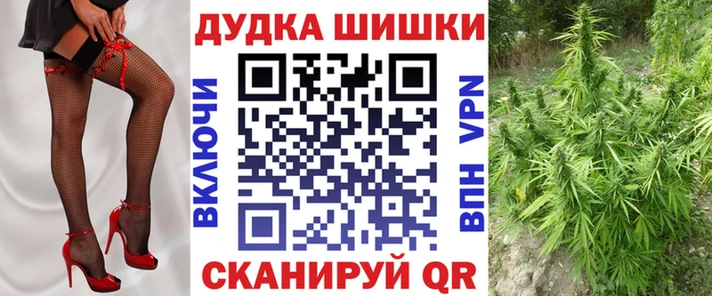Каннабис сатива Пестово